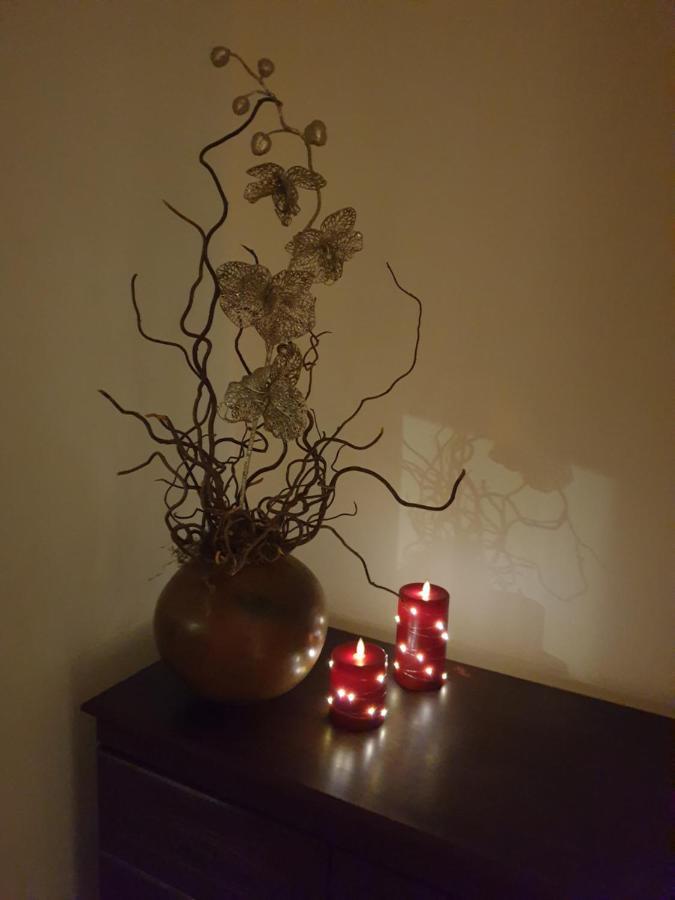 Beautiful Double En-Suite Room, Separate Entrance, Ilford, Central Line Gants Hill, Free Parking מראה חיצוני תמונה